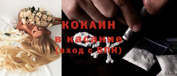 мет Алексин