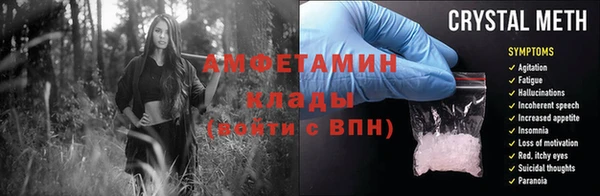 мет Алексин