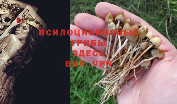 сатива Алексеевка