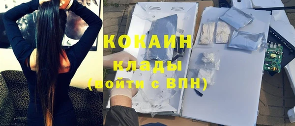 мет Алексин